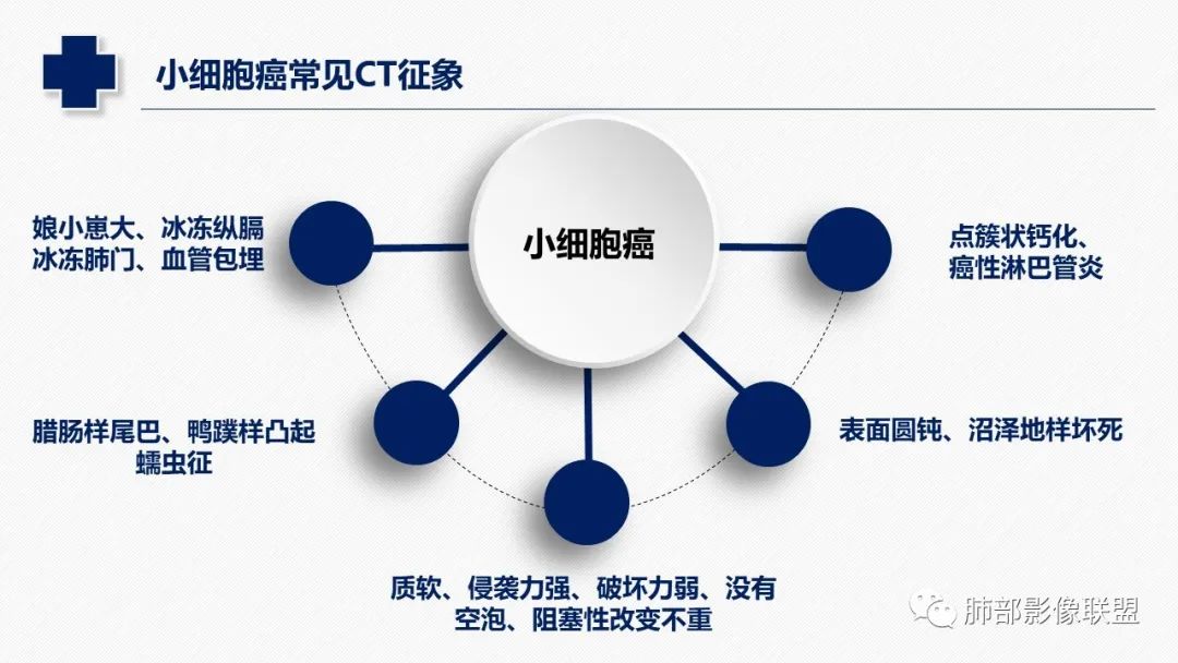 影像PPT - 【病例】小细胞肺癌?套细胞淋巴瘤?-24 影像PPT - 【病例】小细胞肺癌?套细胞淋巴瘤?-24