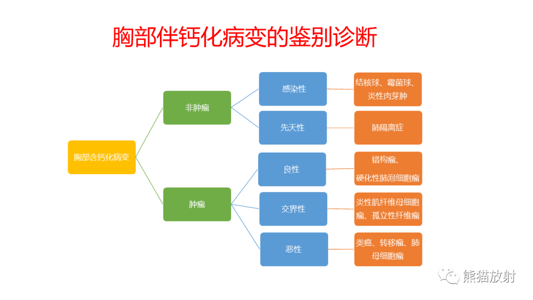 影像PPT - 【病例】肺原位腺癌 VS 浸润性腺癌-10