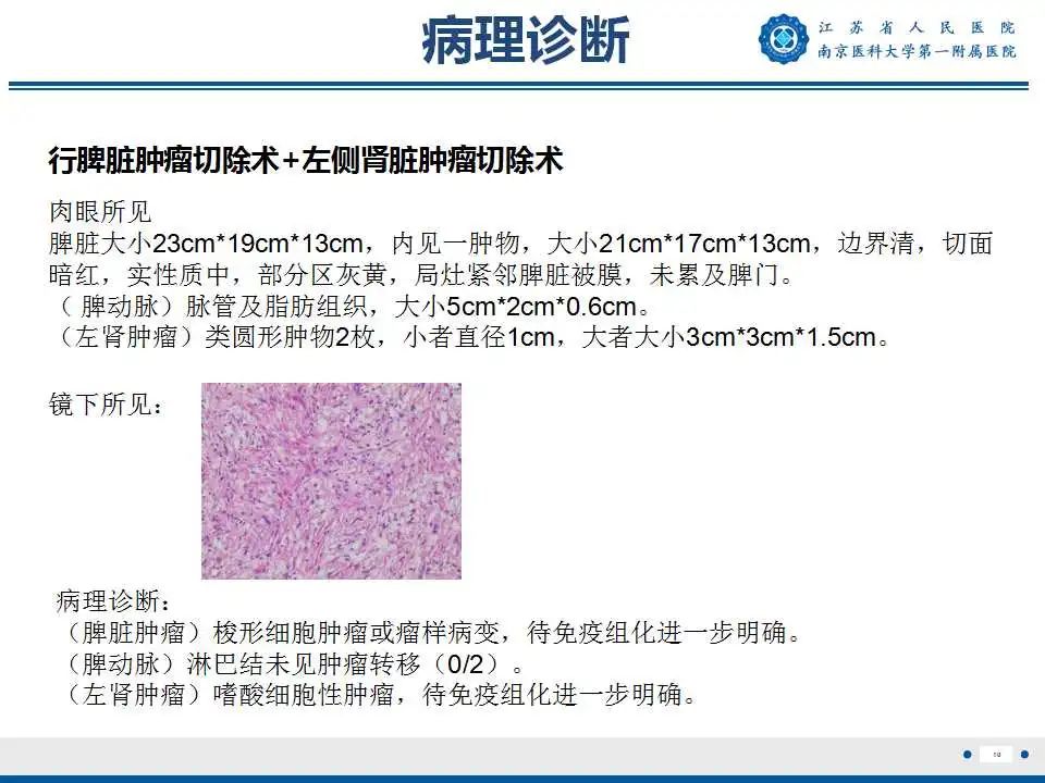 影像PPT - 【PPT】Birt-Hogg-Dubé综合征-11