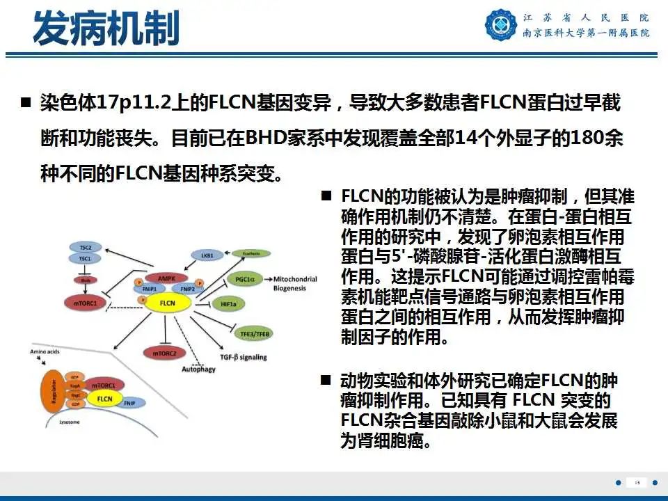 影像PPT - 【PPT】Birt-Hogg-Dubé综合征-16
