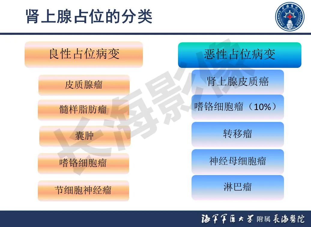 影像PPT - 【PPT】肾上腺占位影像诊断-6