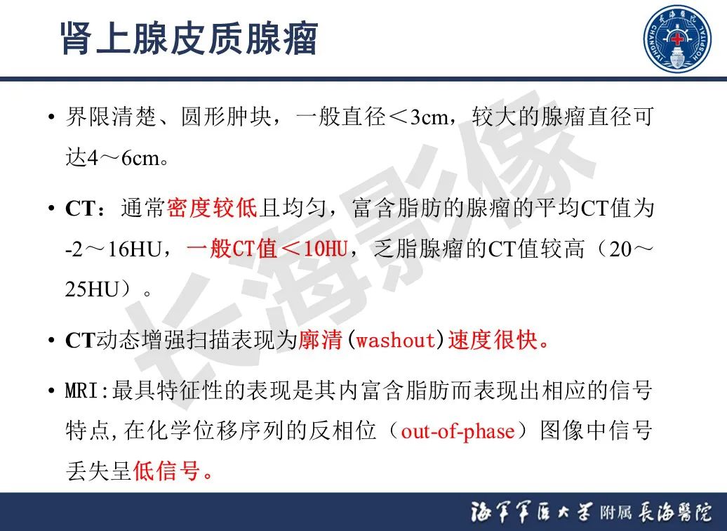 影像PPT - 【PPT】肾上腺占位影像诊断-8