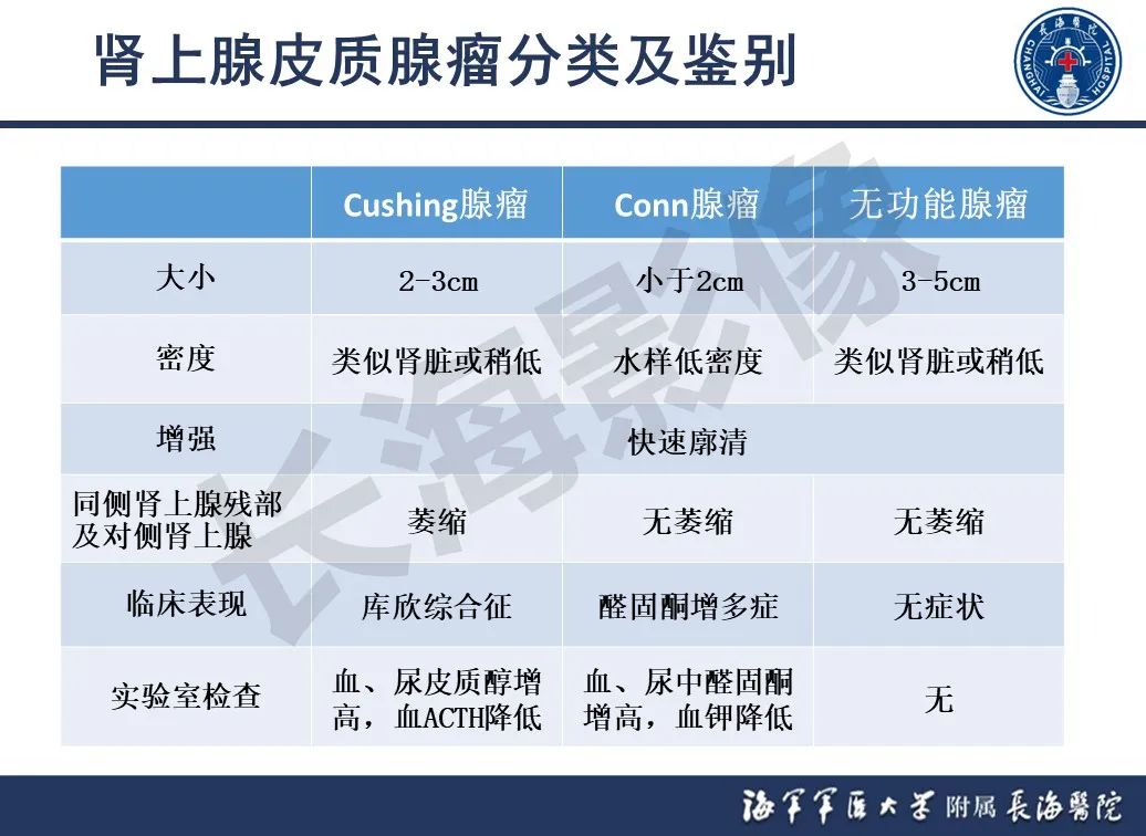 影像PPT - 【PPT】肾上腺占位影像诊断-10