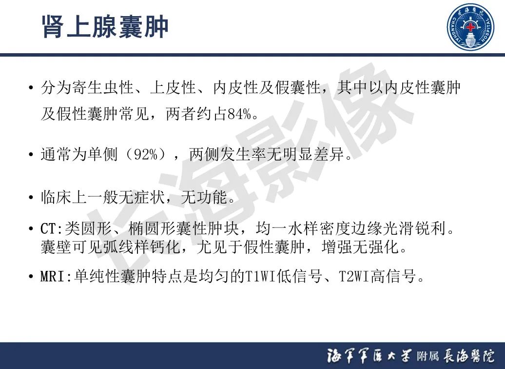 影像PPT - 【PPT】肾上腺占位影像诊断-15