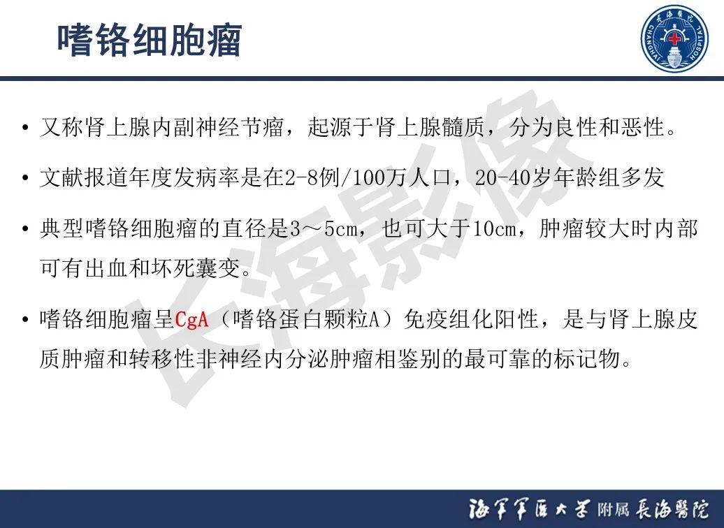 影像PPT - 【PPT】肾上腺占位影像诊断-17