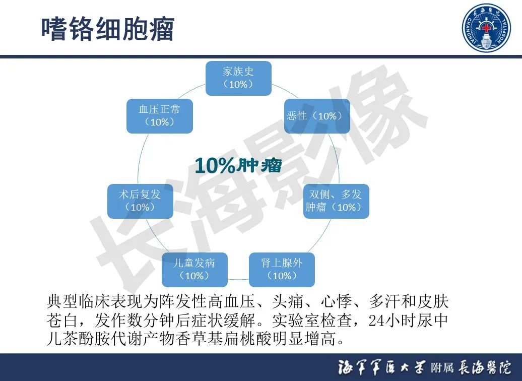 影像PPT - 【PPT】肾上腺占位影像诊断-18