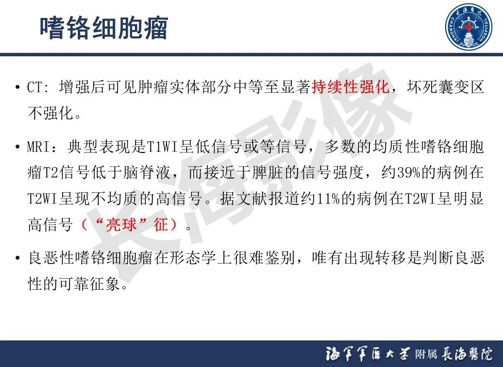 影像PPT - 【PPT】肾上腺占位影像诊断-19