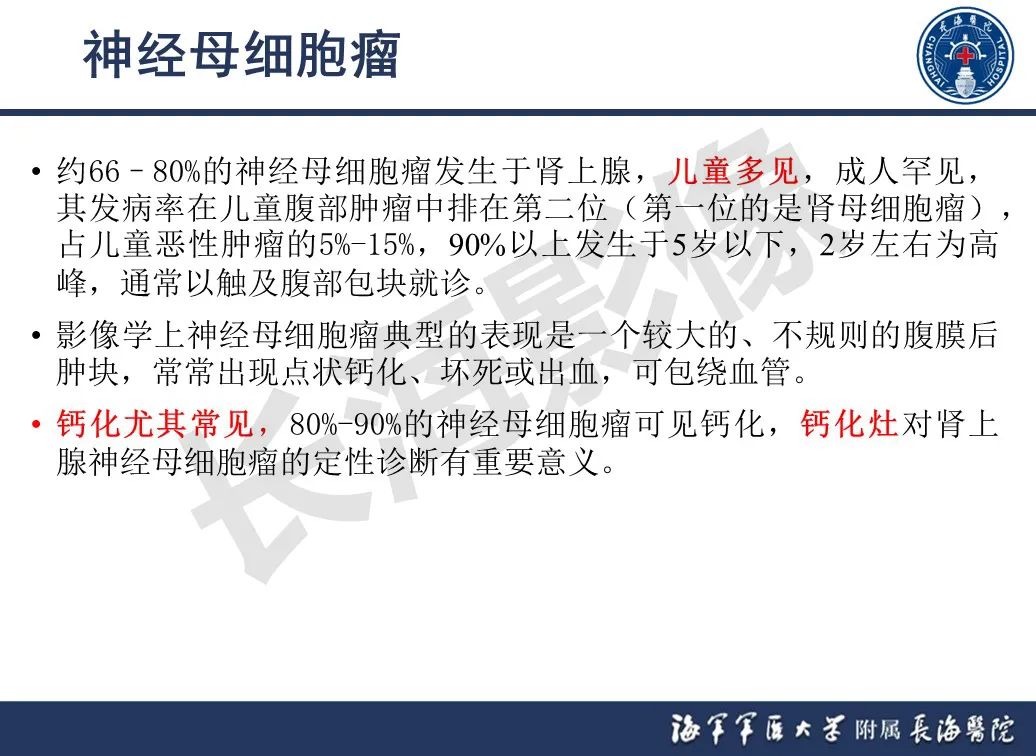 影像PPT - 【PPT】肾上腺占位影像诊断-28