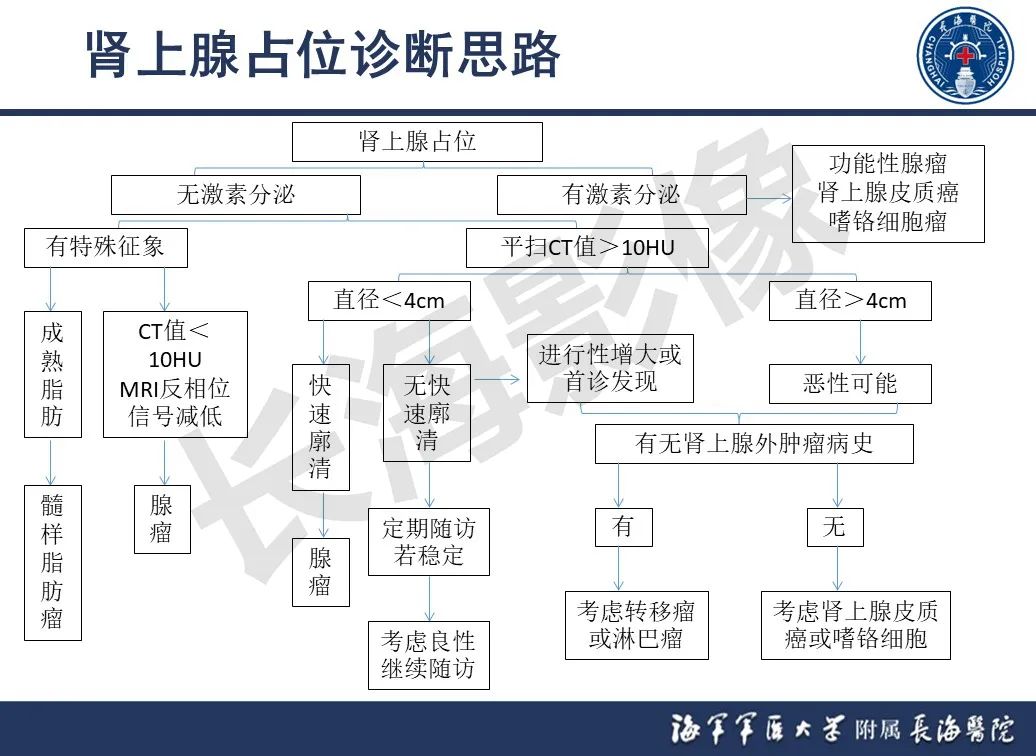 影像PPT - 【PPT】肾上腺占位影像诊断-33