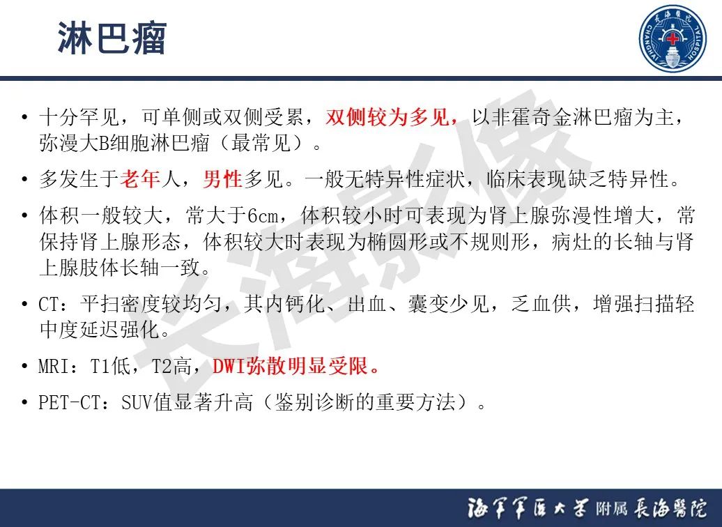 影像PPT - 【PPT】肾上腺占位影像诊断-30