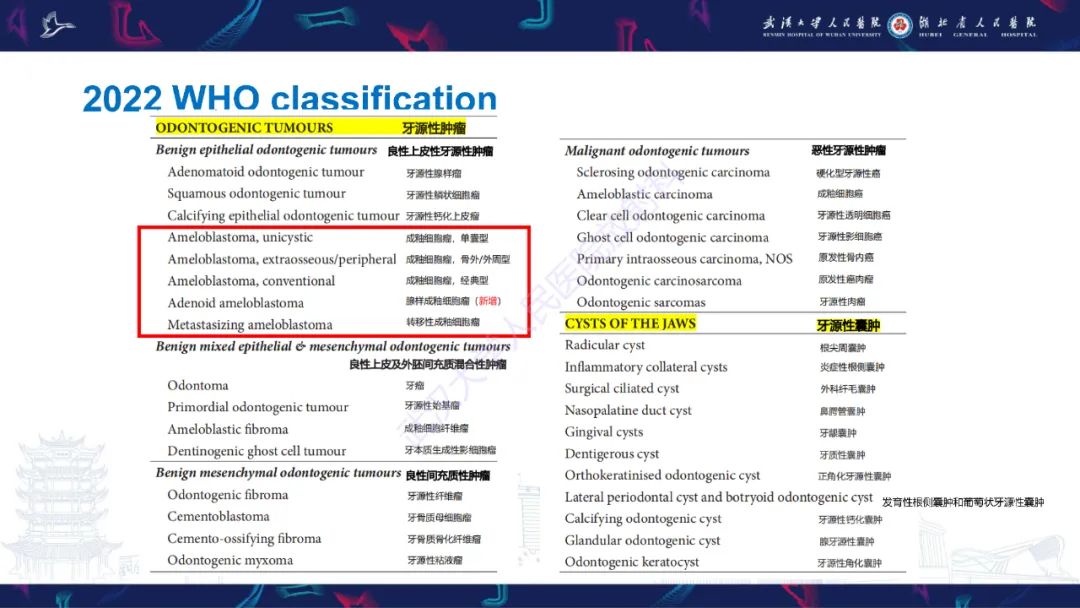 影像PPT - 【PPT】成釉细胞瘤影像诊断-11
