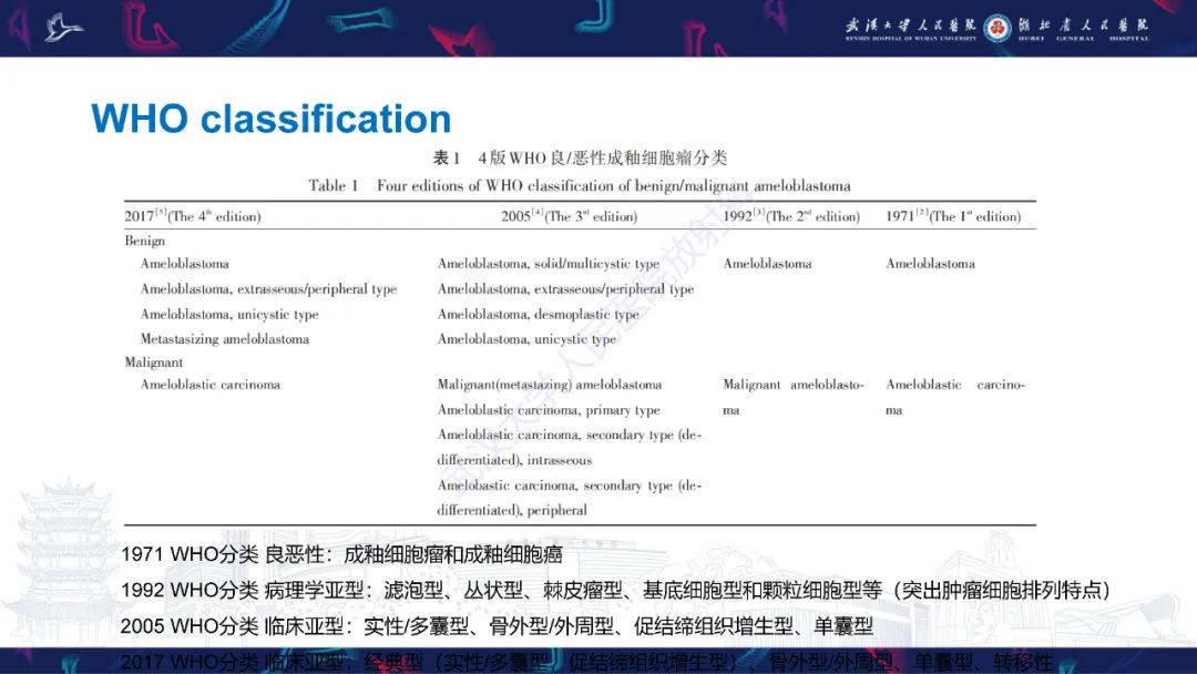 影像PPT - 【PPT】成釉细胞瘤影像诊断-12