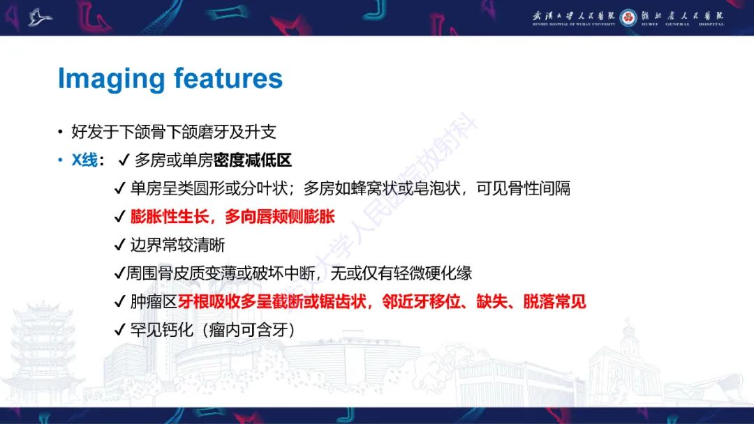 影像PPT - 【PPT】成釉细胞瘤影像诊断-17