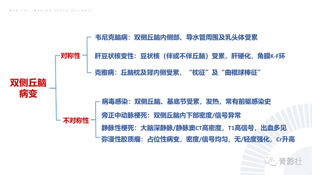 影像PPT - 【PPT】丘脑解剖及常见病变的影像学诊断-5