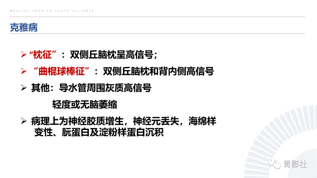 影像PPT - 【PPT】丘脑解剖及常见病变的影像学诊断-13