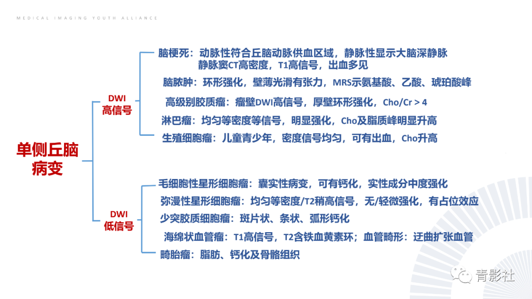 影像PPT - 【PPT】丘脑解剖及常见病变的影像学诊断-28