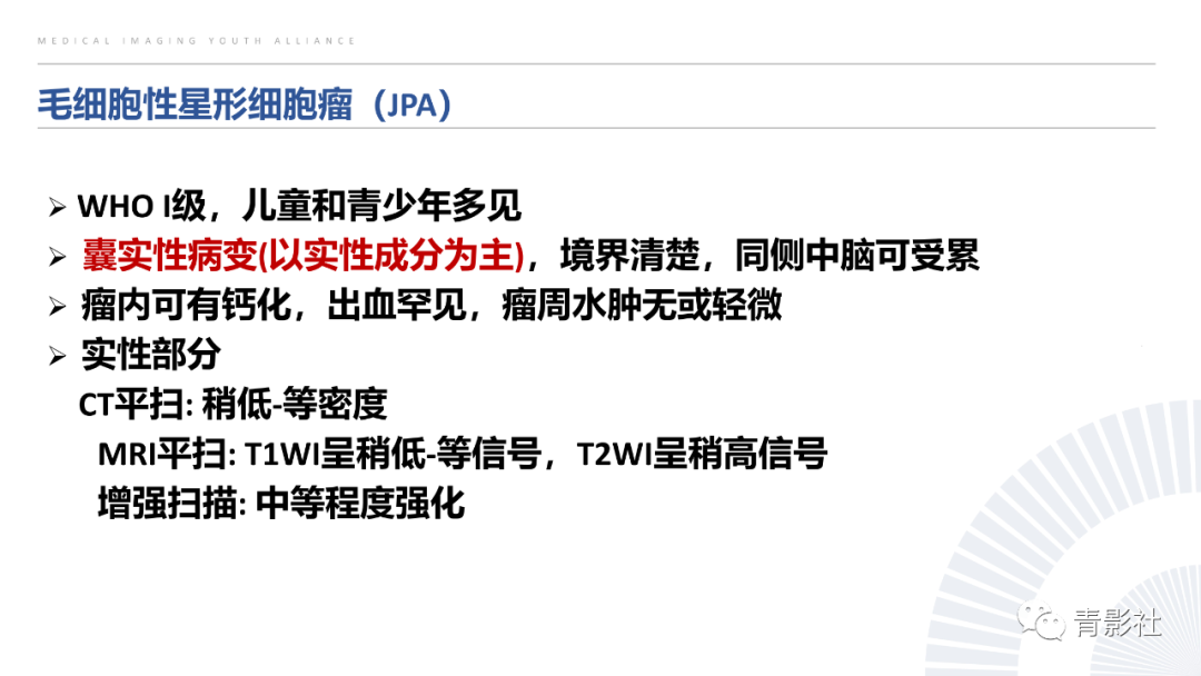 影像PPT - 【PPT】丘脑解剖及常见病变的影像学诊断-44