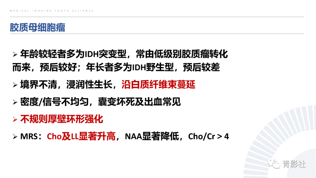 影像PPT - 【PPT】丘脑解剖及常见病变的影像学诊断-53