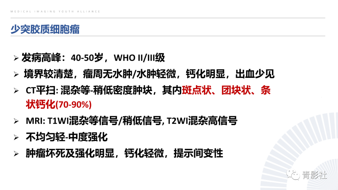 影像PPT - 【PPT】丘脑解剖及常见病变的影像学诊断-57