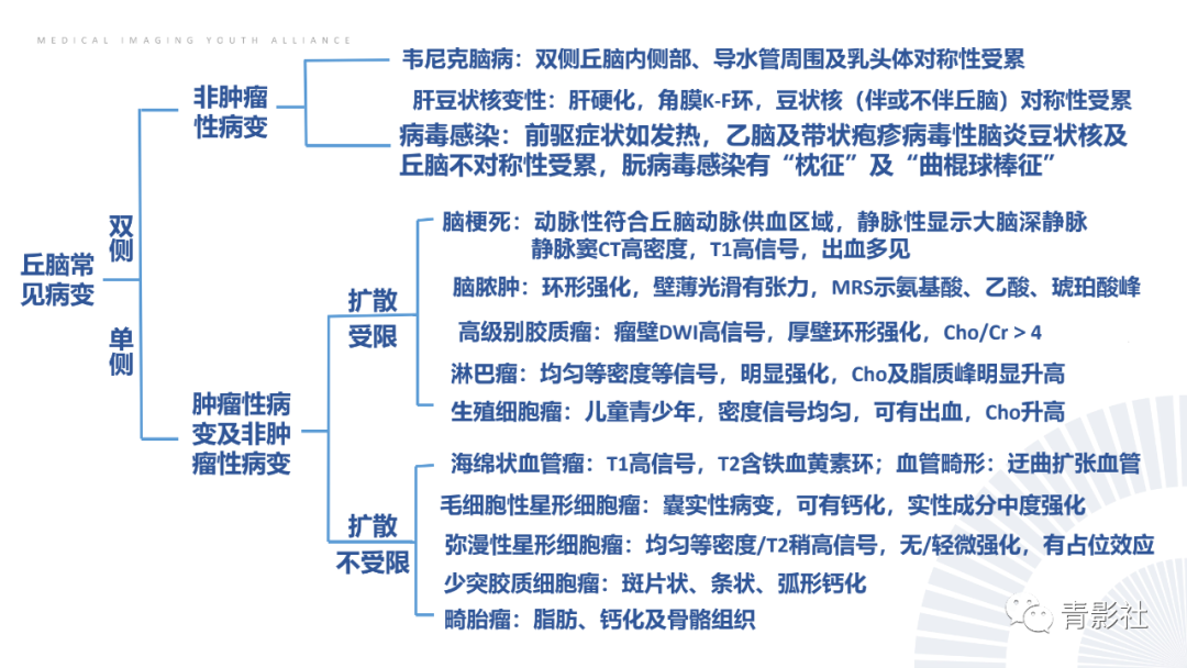 影像PPT - 【PPT】丘脑解剖及常见病变的影像学诊断-71