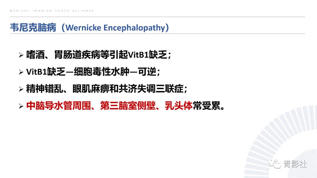 影像PPT - 【PPT】丘脑解剖及常见病变的影像学诊断-1