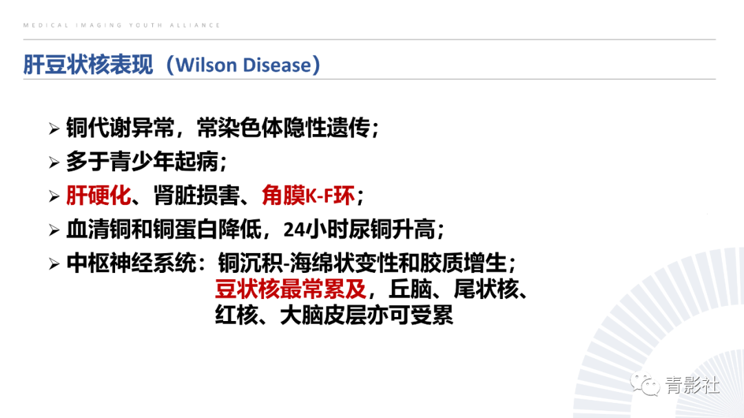 影像PPT - 【PPT】丘脑解剖及常见病变的影像学诊断-4