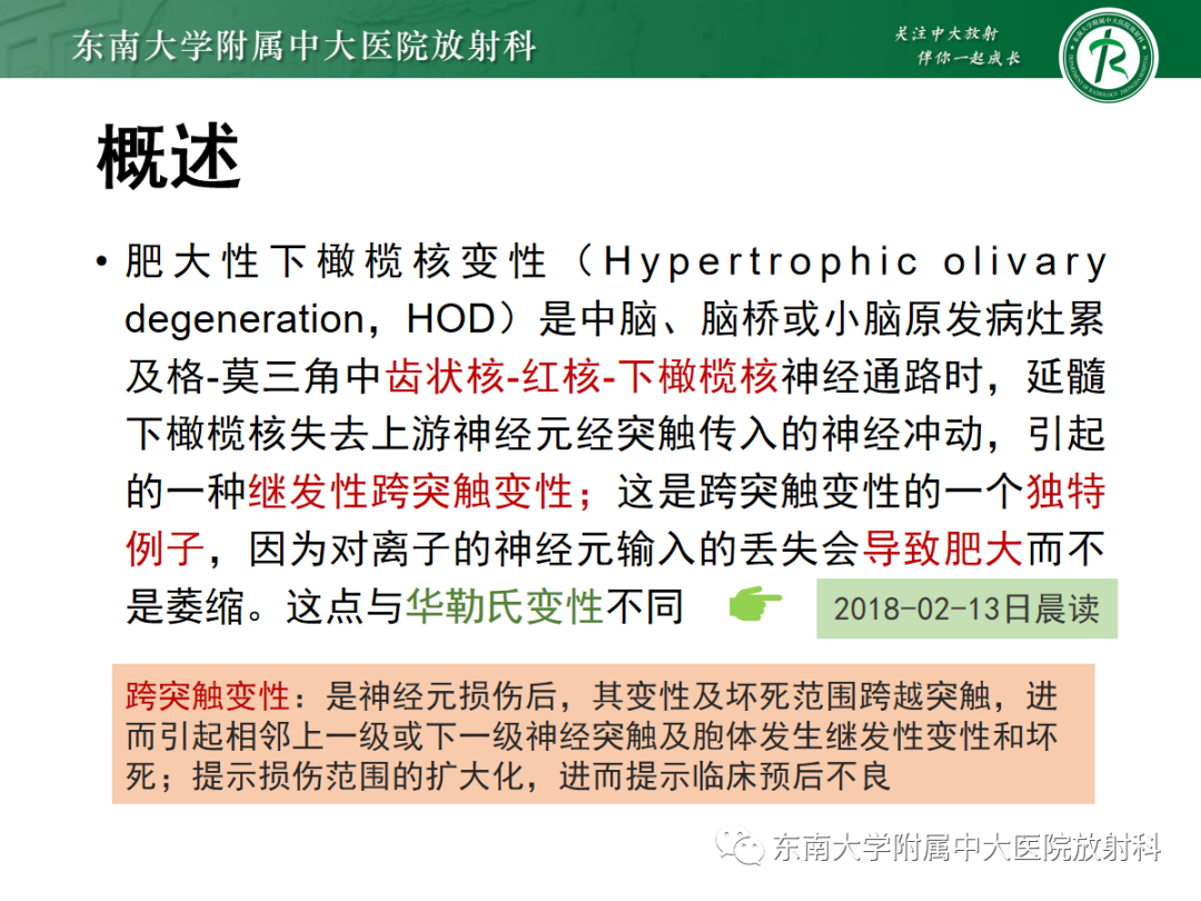 影像PPT - 【PPT】肥大性下橄榄核变性-3