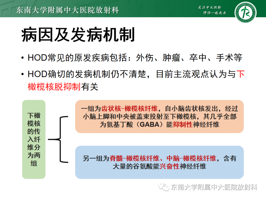影像PPT - 【PPT】肥大性下橄榄核变性-16