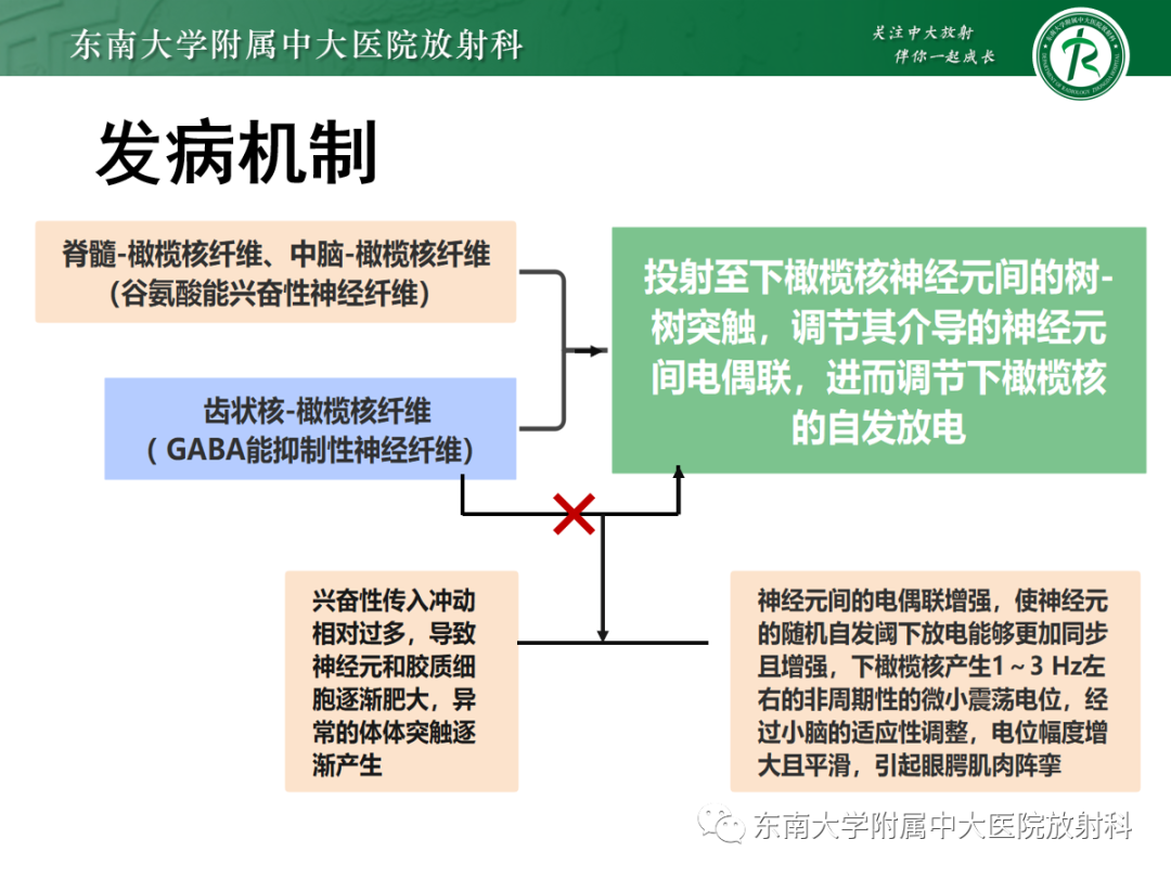 影像PPT - 【PPT】肥大性下橄榄核变性-17