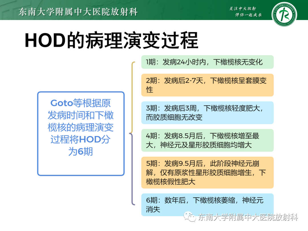 影像PPT - 【PPT】肥大性下橄榄核变性-20