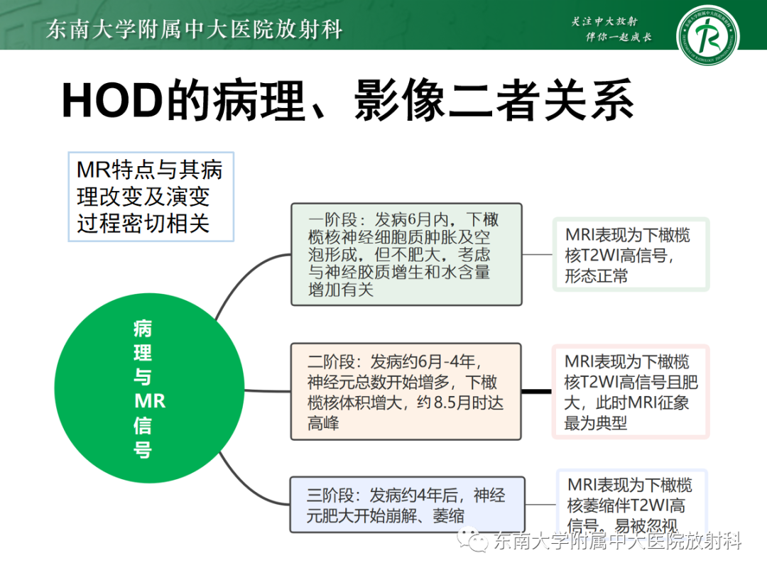 影像PPT - 【PPT】肥大性下橄榄核变性-21