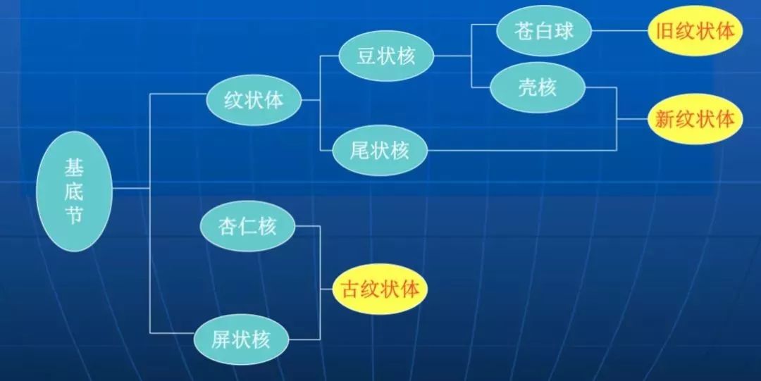 影像PPT - 头部CT读片详解-17 影像PPT - 头部CT读片详解-17