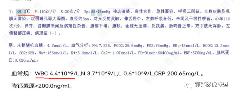 影像PPT - 【病例】血源性金黄色葡萄球菌性肺炎1例CT影像-19 影像PPT - 【病例】血源性金黄色葡萄球菌性肺炎1例CT影像-19