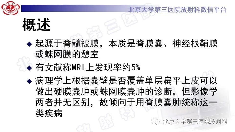 影像PPT - 【PPT】椎管内脊膜囊肿-16