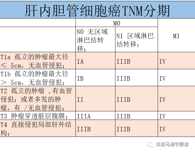 影像PPT - 常见肿瘤的TNM分期-8