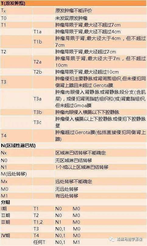 影像PPT - 常见肿瘤的TNM分期-13