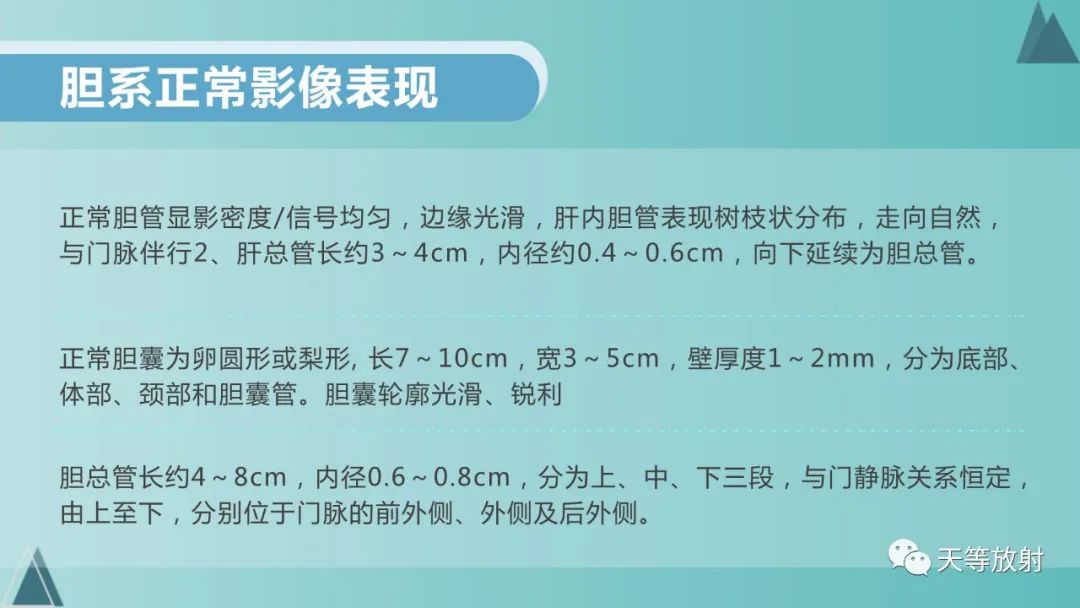 影像PPT - 【PPT】胆道梗阻的影像学诊断-15
