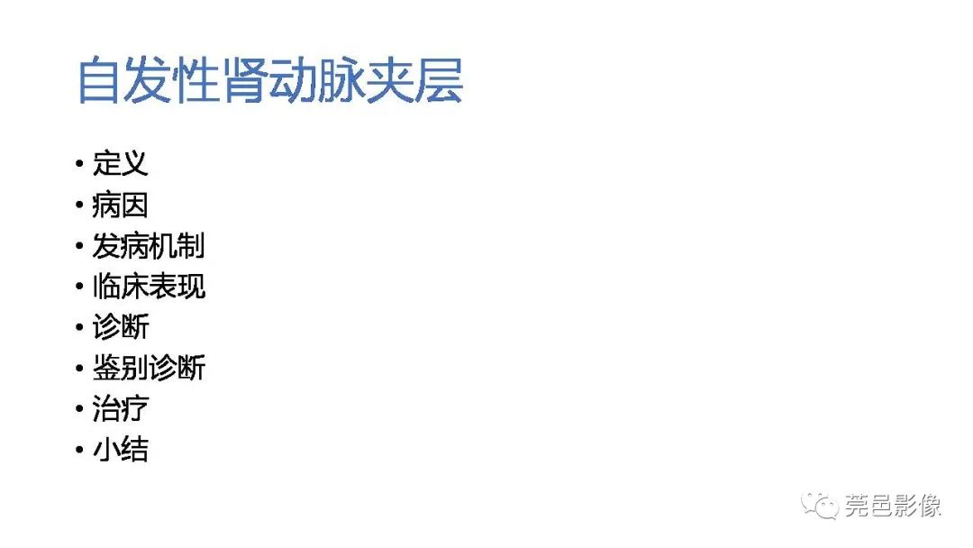 影像PPT - 【PPT】自发性肾动脉夹层CT诊断-18