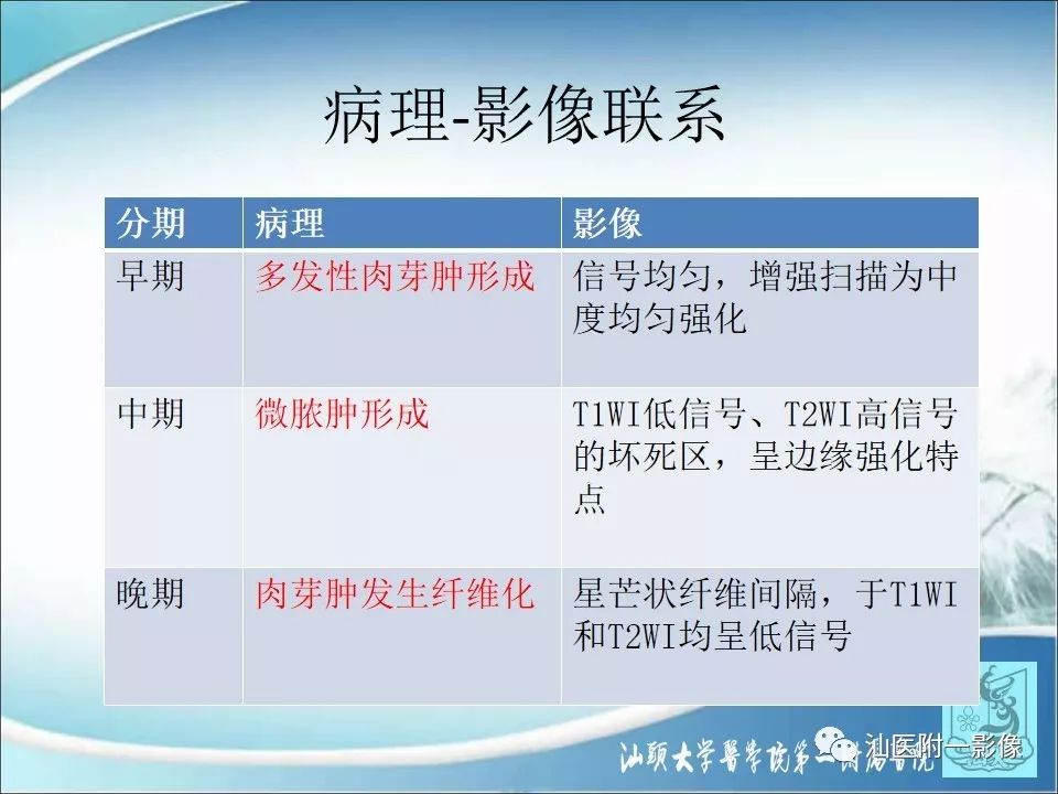 影像PPT - 【病例】猫抓病1例MR影像-10