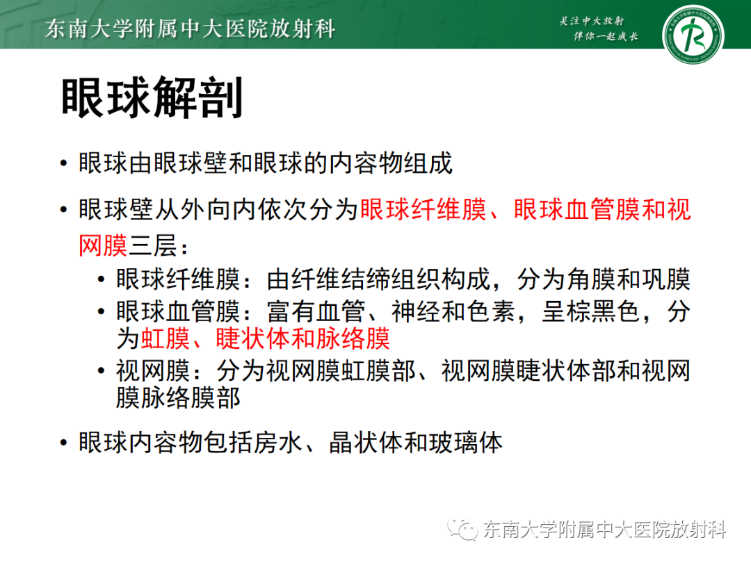 影像PPT - 【PPT】脉络膜黑色素瘤-5