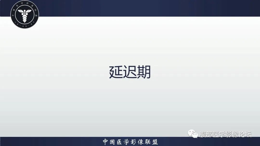 影像PPT - 【病例】腹腔恶性孤立性纤维性肿瘤1例CT影像-19