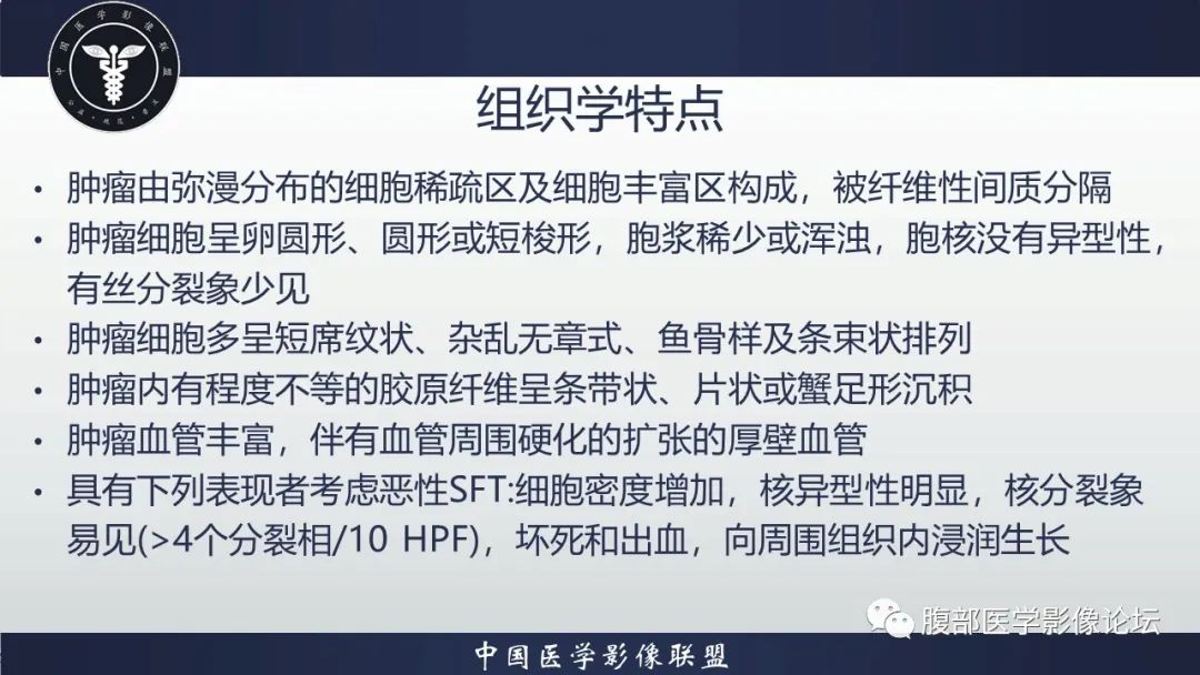 影像PPT - 【病例】腹腔恶性孤立性纤维性肿瘤1例CT影像-29