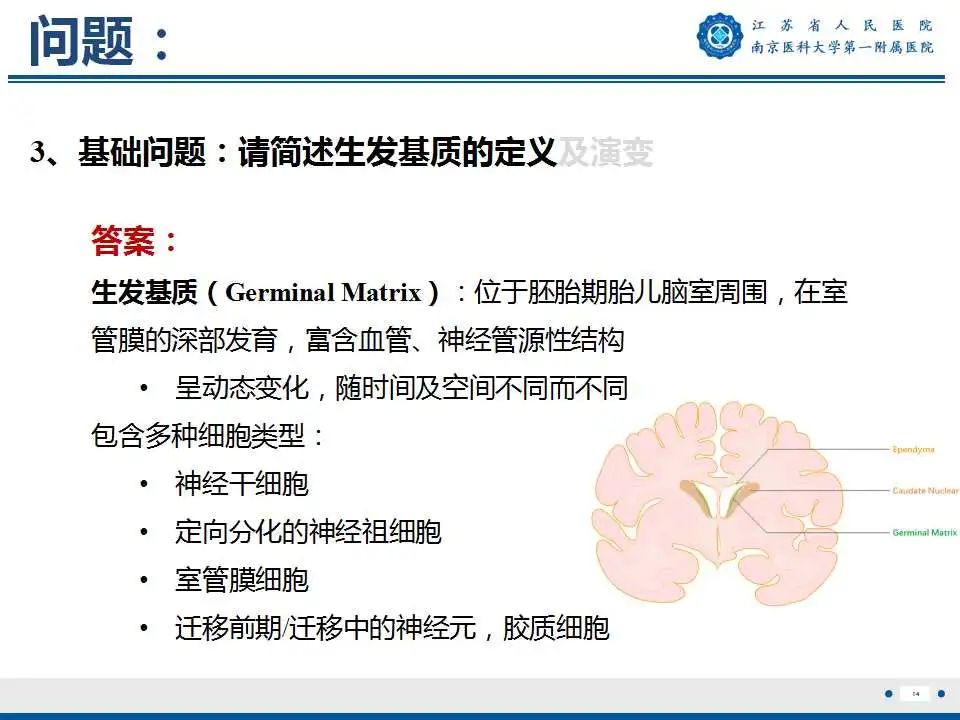 影像PPT - 【PPT】生发基质-脑室内出血-15
