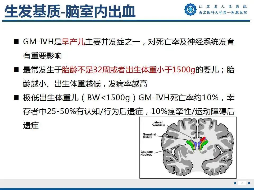 影像PPT - 【PPT】生发基质-脑室内出血-18
