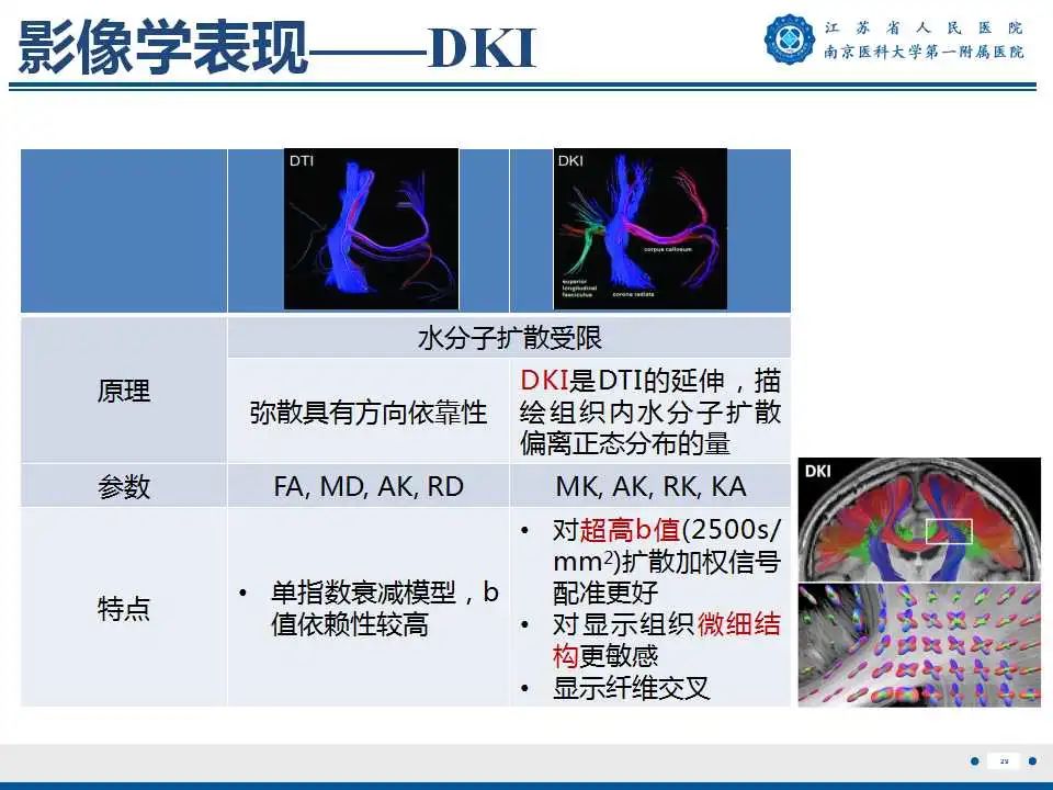 影像PPT - 【PPT】生发基质-脑室内出血-30