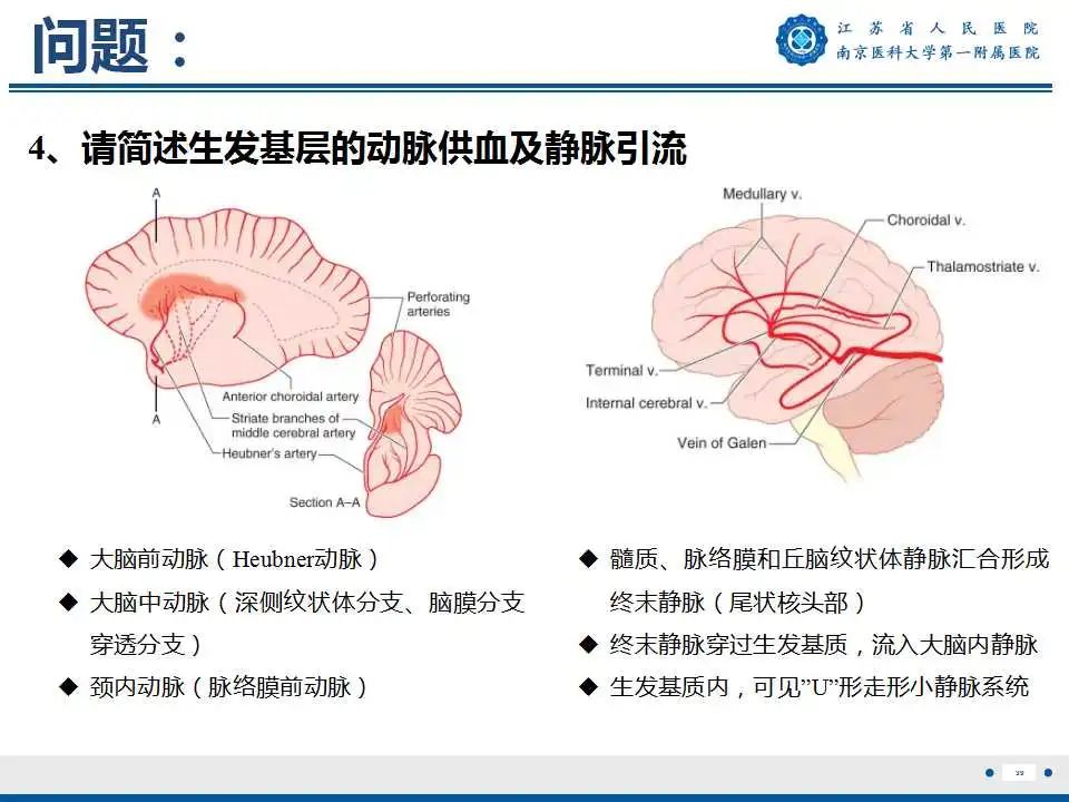 影像PPT - 【PPT】生发基质-脑室内出血-40
