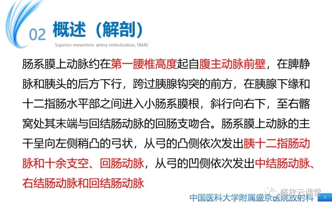 影像PPT - 【PPT】肠系膜上动脉栓塞-7