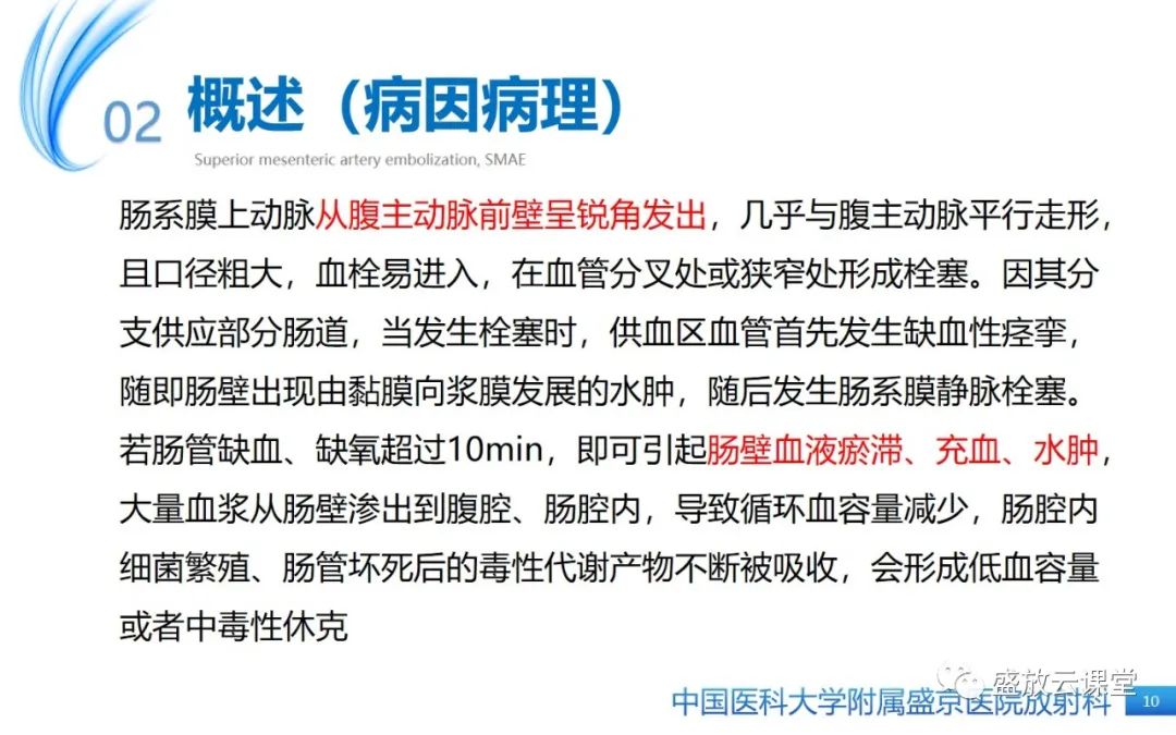 影像PPT - 【PPT】肠系膜上动脉栓塞-10