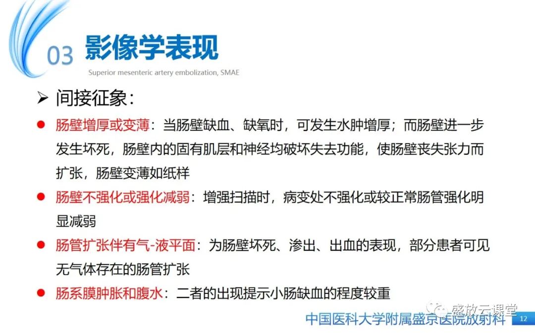 影像PPT - 【PPT】肠系膜上动脉栓塞-12
