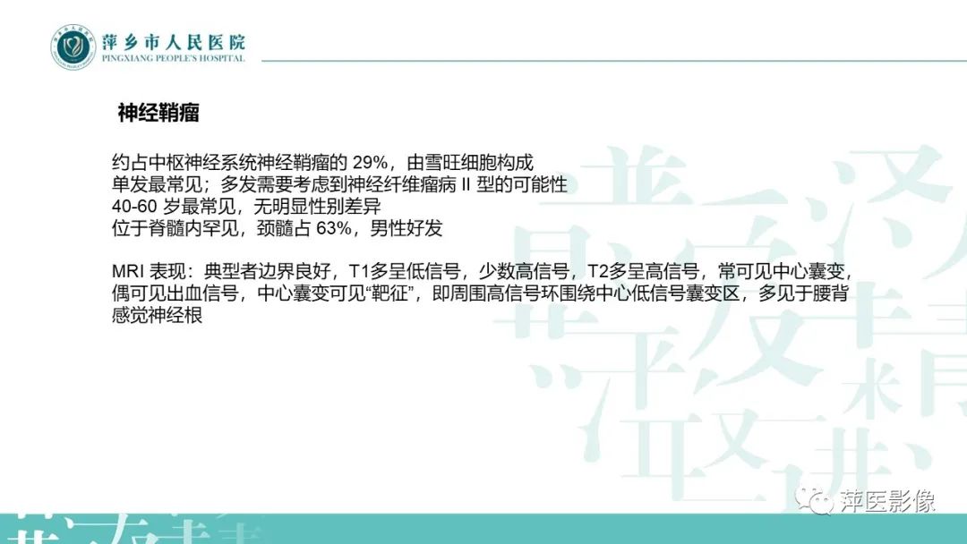 影像PPT - 【PPT】髓外硬膜内肿瘤-13